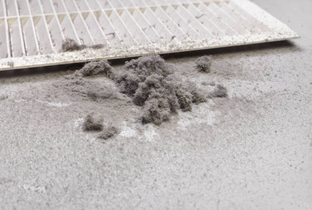 Best Air Duct Cleaning Near Me  in Castalia, OH