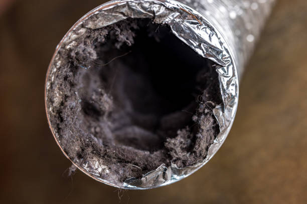 Best Ductwork Cleaning Services  in Castalia, OH