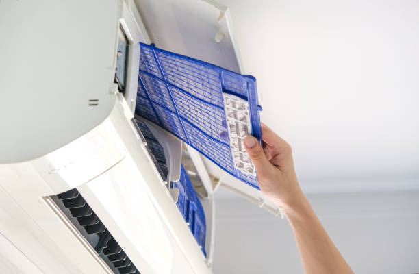 Best Air Vent Cleaning Services  in Castalia, OH