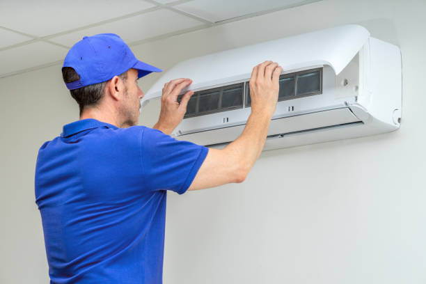 Best Air Vent Cleaning Services  in Castalia, OH