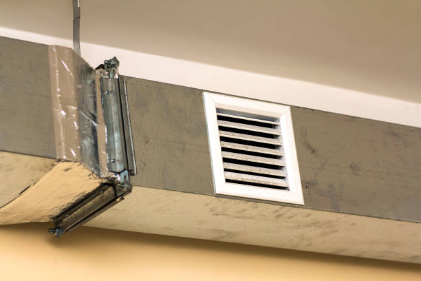 Best Dryer Vent Cleaning Services  in Castalia, OH